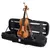Violin Stradella MV1414 4/4