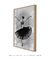 Cisne Negro Minimalista