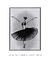 Cisne Negro Minimalista - minimartes