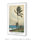 Palm Tree, Nassau by Winslow Homer na internet
