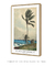 Palm Tree, Nassau by Winslow Homer