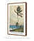 Palm Tree, Nassau by Winslow Homer - minimartes