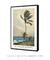 Palm Tree, Nassau by Winslow Homer