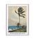 Palm Tree, Nassau by Winslow Homer