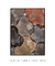 Stones Color II - minimartes