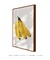 Vintage Bananas na internet