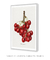 Imagem do Vintage red cherries