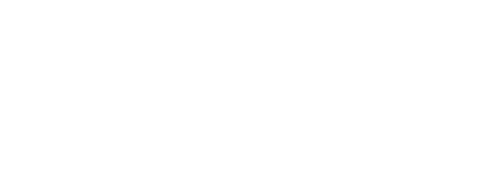 Skline.Store