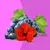 Best Whey Total Clean 350ml Uva com Hibisco Pacote Com 6 Unidades -Athletica na internet