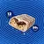 Barrinha de Proteína Bold bar Barra Cookies & cream 1 Unidade 60g - comprar online