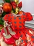 Vestido Mimadine Ursinho Vermelho Natal (VESTMMDNURSNVRMLNTL) - comprar online