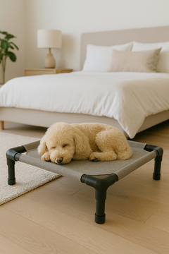 Catre cama para mascotas mediano en internet