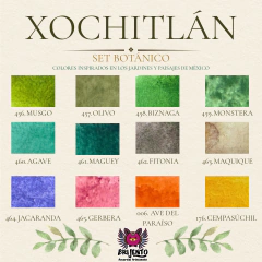 XOCHITLÁN // SET BOTÁNICO - Brijento