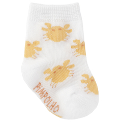Kit 3 Meias Coloridas 00-15 Infantil Masculina Pimpolho na internet
