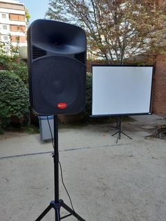 Kit Karaoke Familiar: PROYECTOR PARLANTE Y MICRÓFONO en internet