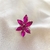Anillo Leo