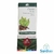 ÓLEO ESSENCIAL CRAVO FOLHA 5 ML WNF