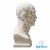 MODELO ANATÔMICO CABEÇA - comprar online