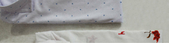Banner de la categoría camisas estampadas