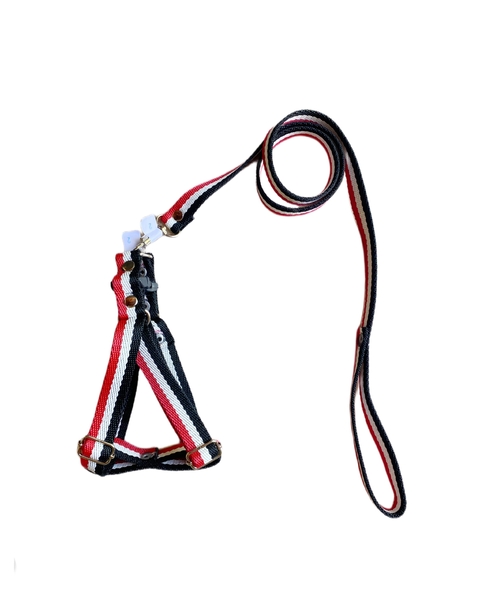 CONJUNTO CORREA + PRETAL REGULABLE CINTA RAYADA