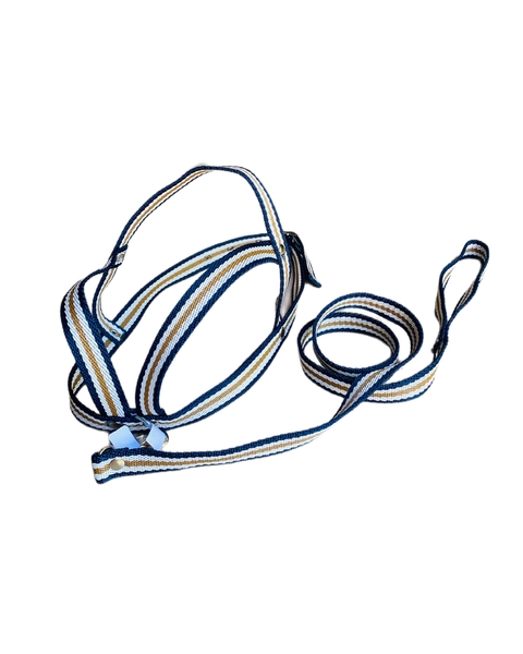 CONJUNTO CORREA + PRETAL CINTA RAYADA