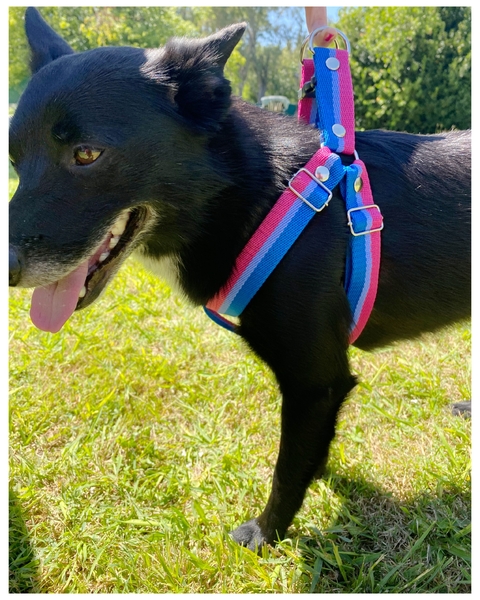 PRETAL REGULABLE CINTA RAYADA