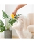 PANTUFLA PELUCHE en internet