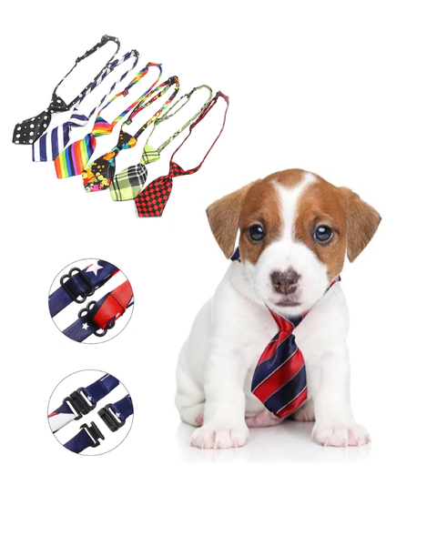 COLLAR CON CORBATITA