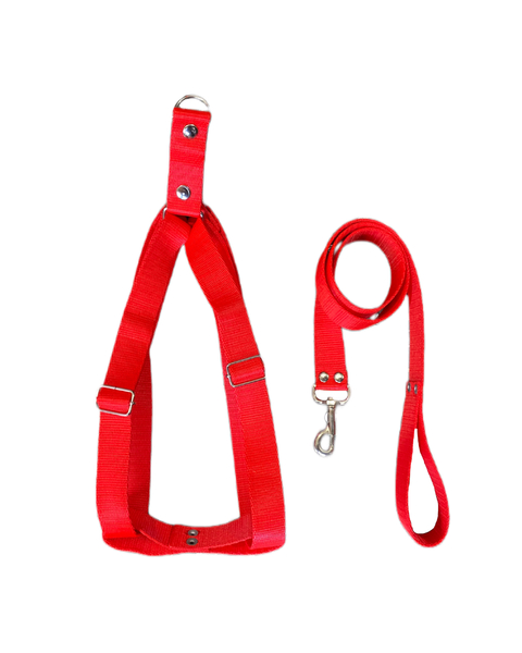 CONJUNTO CORREA + PRETAL REGULABLE