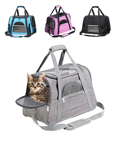 BOLSO PARA TRANSPORTE