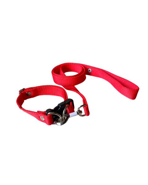 CONJUNTO CORREA DE PASEO + COLLAR REGULABLE DE POLIPROPILENO - comprar online