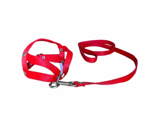 CONJUNTO CORREA + PRETAL LISO