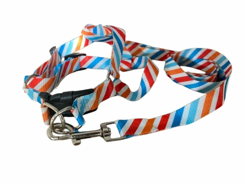 CONJUNTO CORREA + PRETAL REGULABLE