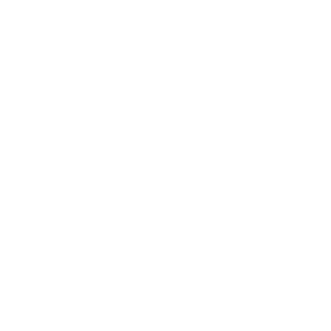 P51 CLOTHING