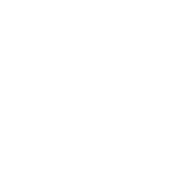 P51 CLOTHING