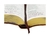 BIBLIA LUXO - Grande Bilingue Marrom SBB - loja online