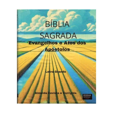 BIBLIA SAGRADA EVANGELHOS E ATOS DOS APOSTOLOS