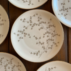 6 PLATOS PLAYOS DE PORCELANA BAVARIA en internet