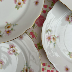 6 PLATOS PLAYOS DE PORCELANA VERBANO en internet