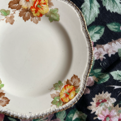 PLATO PLAYO DE LOZA WOODS IVORY WARE DE 17,5 CM en internet