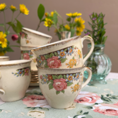 SET DE 6 POCILLOS DE CAFÉ CON PLATO DE LOZA INGLESA WOODS IVORY WARE ENGLAND en internet