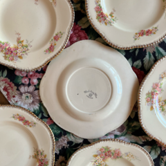 PLATO PLAYO DE LOZA WOODS IVORY WARE DE 23 CM - María Historieta
