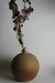 Imagem do Vaso Gota