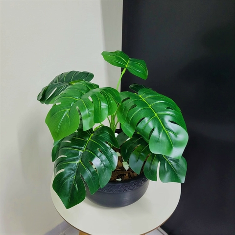 Vaso de Costela de Adão Artificial