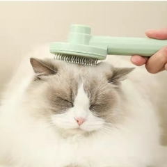 Escova para gatos Pente para animais de estimação Autolimpante Escova para remover pêlos Escova para cuidados com animais de estimação Pente para desembaraçamento Beleza Pente para cães - comprar online