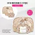 Kit de Necessaire com 03 peças - Dourado na internet