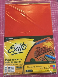 Repuesto EXITO dibujo N5 color 6 hojas