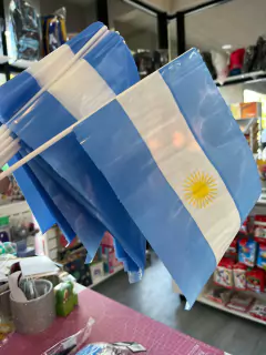 Bandera Argentina palito x unidad