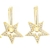 Aros STARS en internet