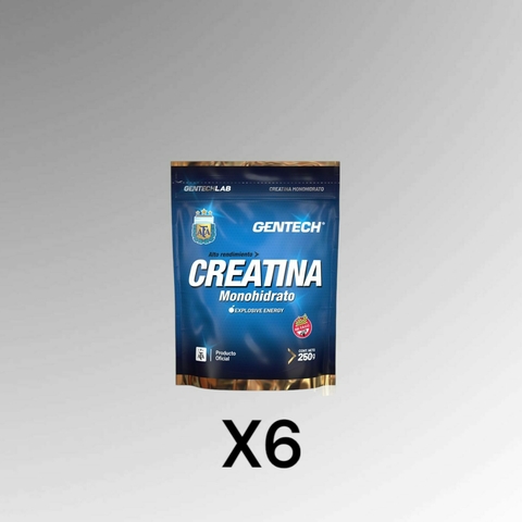 CREATINA 250G X 6U - GENTECH
